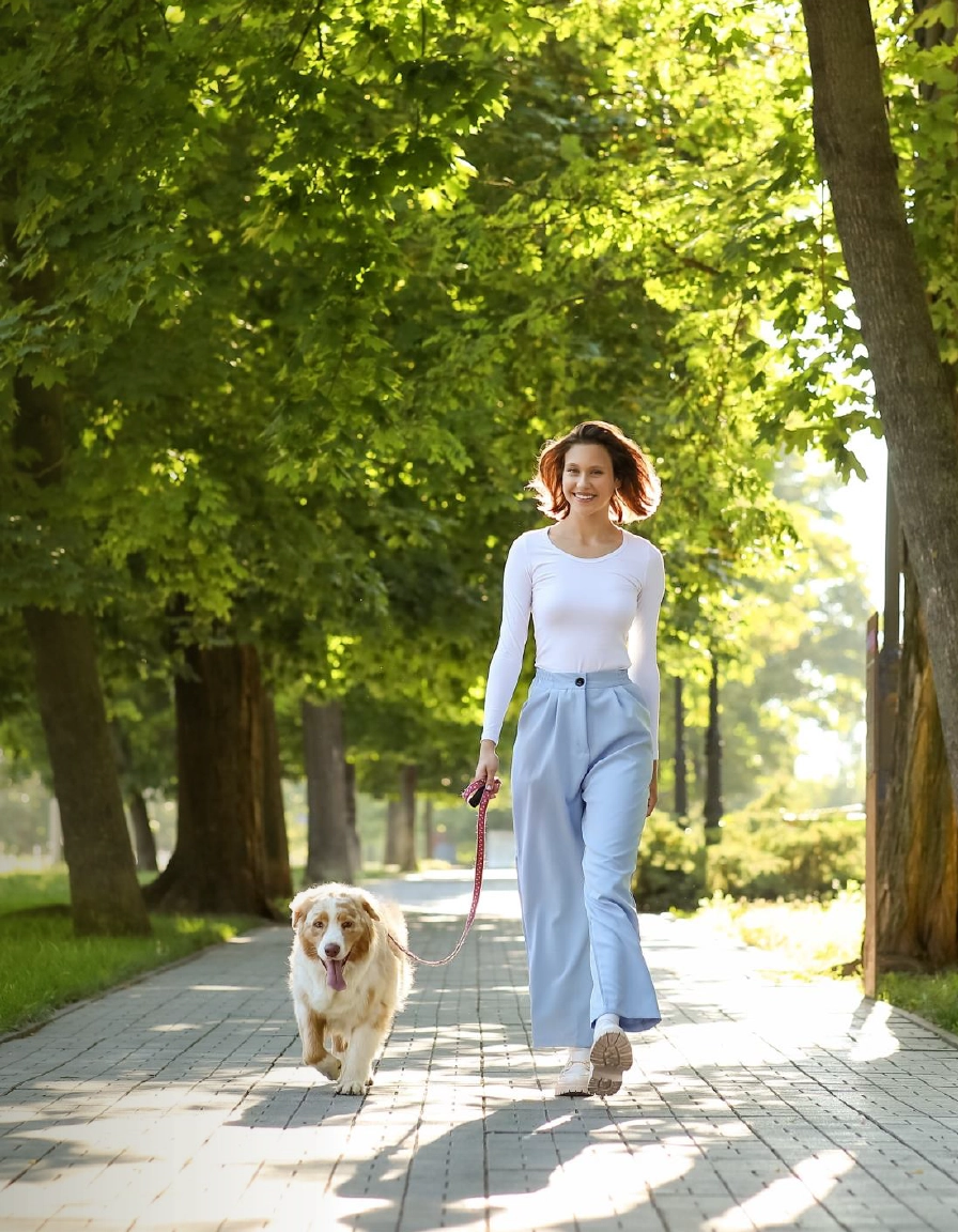 Dedicated Pet Park